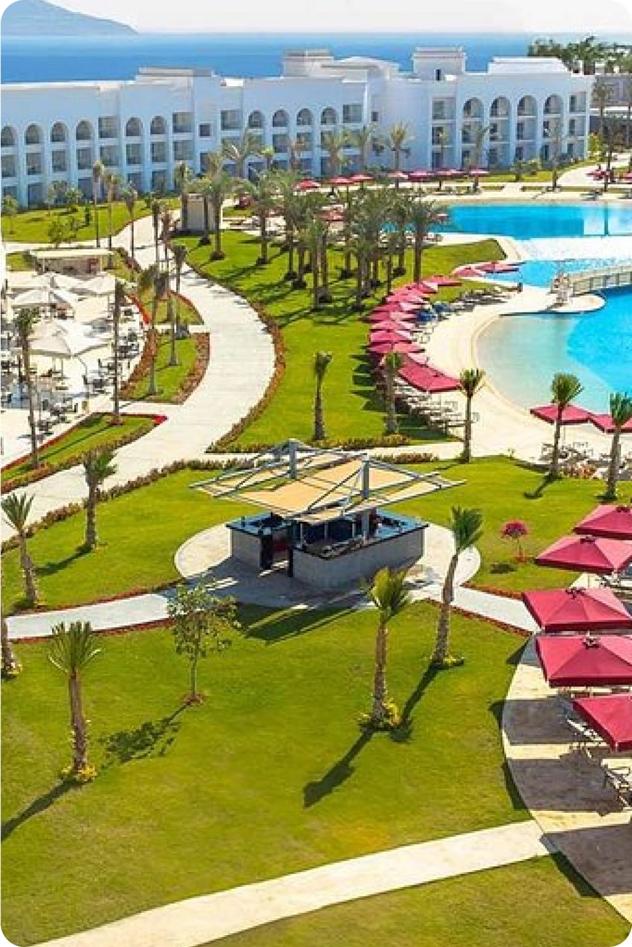 Nabq Bay